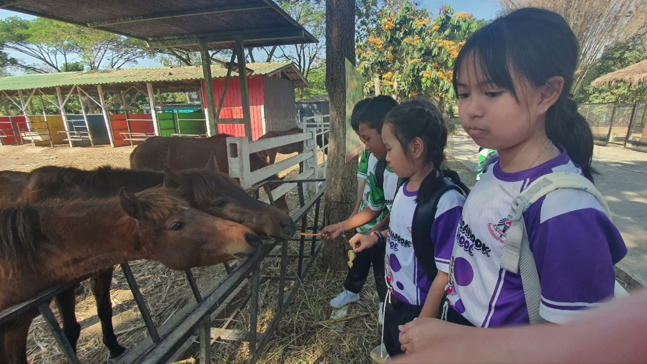 ป.3เรียนรู้นอกห้องเรียนภาค1