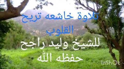 تلاوه الشيخ وليد راجح