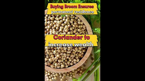 5 Things You Should buy On Danteras #shorts #trending #shortvideo #shortsfeed #dhanteras #diwali