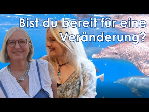 🩷Seelenflüstern der Delfine - Heilsame Kraft - dein Zauber erwacht🐬