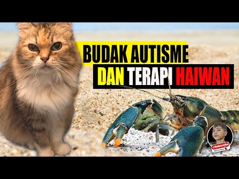 Budak Autisme dan Terapi Haiwan | Betul Ke Membantu Anak Autisme?