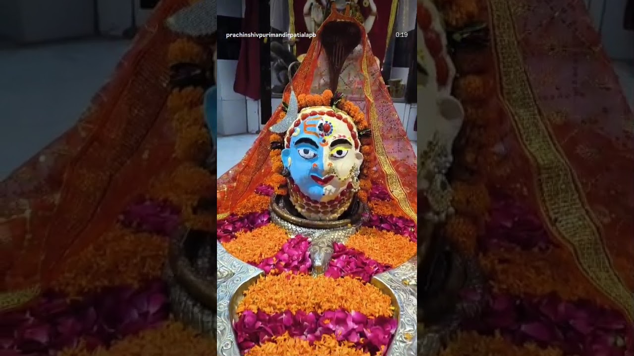 #Har Har Mahadev 🙏🏻🙏🏻🙏🏻🙏🏻🙏🏻🙏🏻🙏🏻🙏🏻🙏🏻