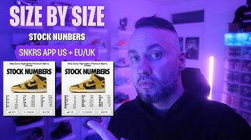 This Is Why You Did`nt Get The WU-TANG DUNK HIGH PRM