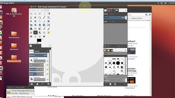 Install themes in Gimp 2.8 Linux