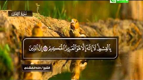 سورة ال عمران 17 الى 19ـــ طه الفشنى