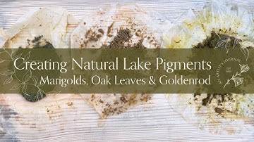 Creating Natural Lake Pigments from Plants | Artist Journal with African Marigold, Goldenrod & Oak