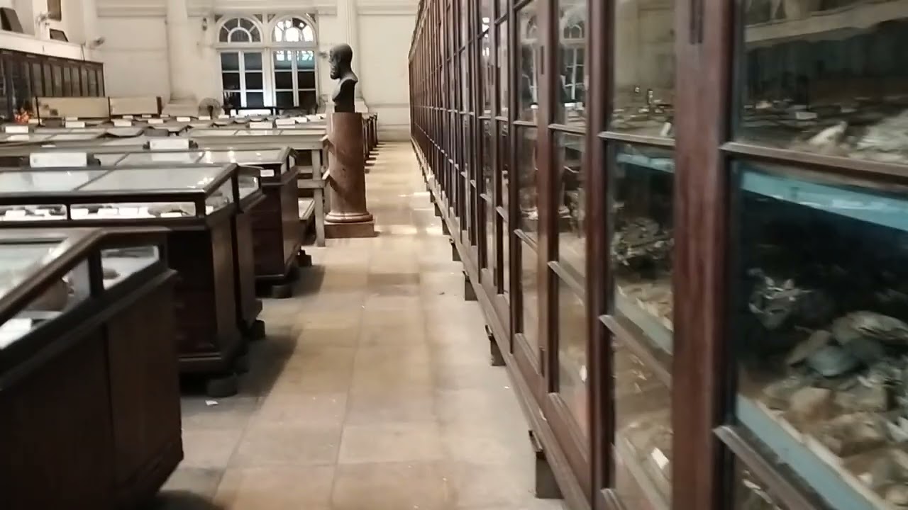 Exploring Indian Museum Kolkata | Ancient History to Modern India.