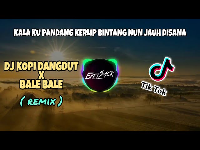DJ KOPI DANGDUT x BALE BALE TIKTOK VIRAL 2020‼ (Exel Sack & Arief Gobel Remix) - [ Lyric Video ] class=