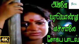 Ange Maramonnu Vachale     Spb  Love Sad H D Song
