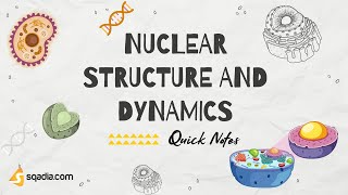 Nuclear Structure and Dynamics | Introduction