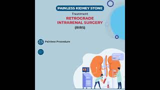 Kidney Stone Treatment | Best Urologist in Lucknow - Dr  Vinish health kidney stone