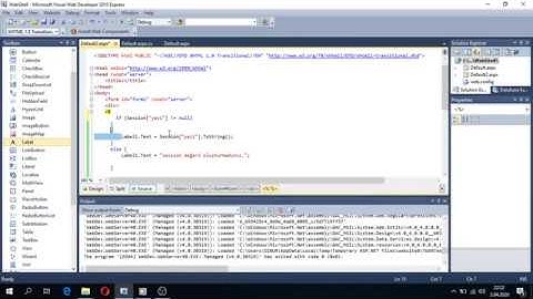 ASP.NET C# - SESSION KULLANIMI