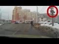 Dog Waits For Green Light To Cross The Street