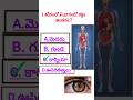Gk Questions Answers in Telugu ||general knowledge question and Answer||#gkBits#quiz#telugu#Shorts.