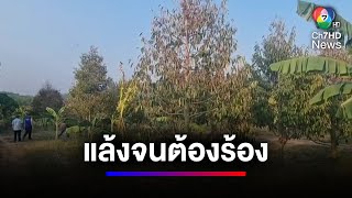 แล้งหนัก ! ทุเรียน-มะม่วง ขาดน้ำยืนต้นตาย | สนามข่าวเสาร์-อาทิตย์