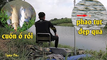 Câu Lục - Quấn Ổ Và Cận Cảnh Trắm Đen Tỳ Phao Mất Tích | Ngáo Câu