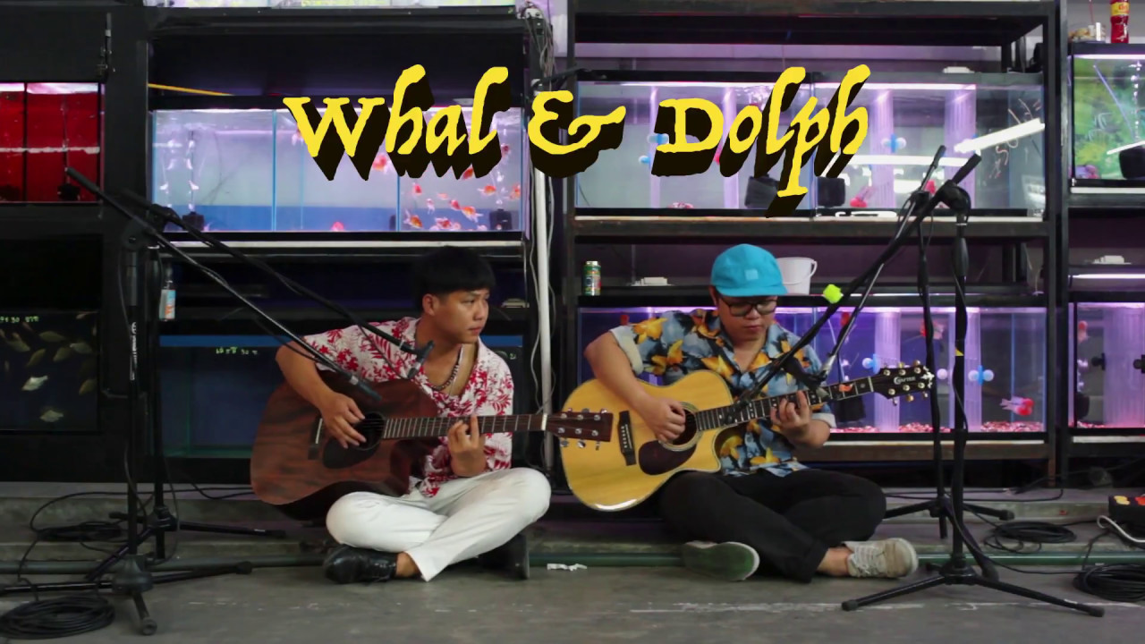 whal dolph ouch fish tank session youtube whal dolph ouch fish tank session youtube