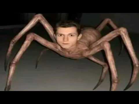 Top 5 Spooky