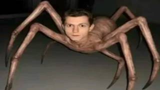 Top 5 Spooky