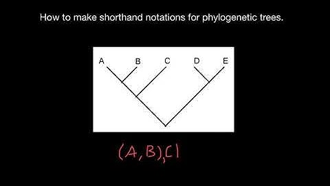 How to Make Shorthand Notations of Phylogenetic Trees
