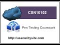 CSN10102 Coursework (Introduction): Penetration test