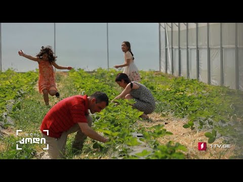 #დღისკოდი „მხოლოდ ერთად შევძლებთ, შევცვალოთ მომავალი უკეთესობისაკენ“ #LIVE