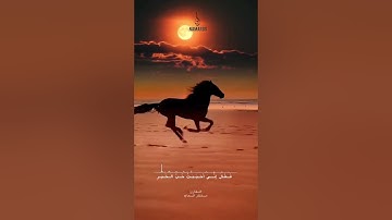 ووهبنا لداوود سليمان نعم العبد إنه أواب #سورة_ص #مختار_الحاج #قرآن #تلاوة_خاشعة