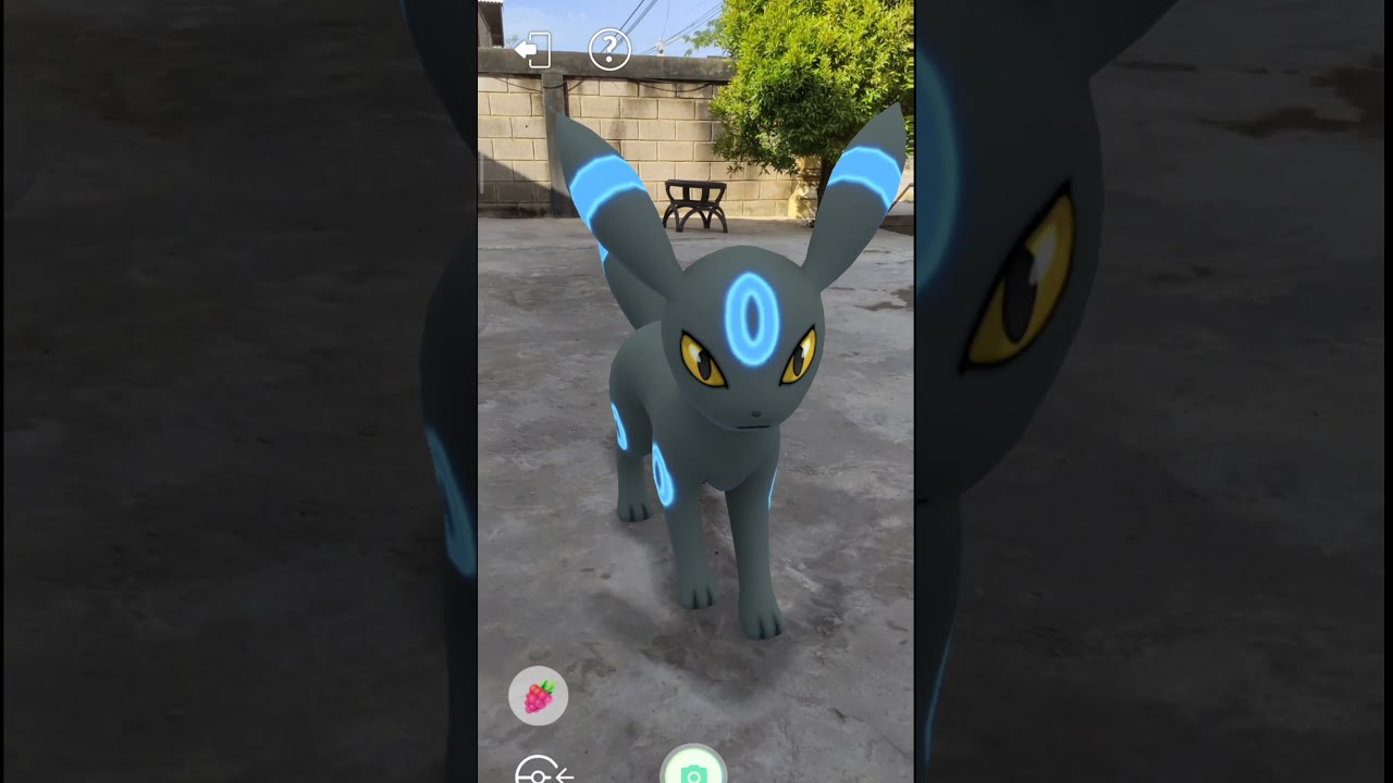 Perfect Shiny Umbreon feeding time - pokemon go 