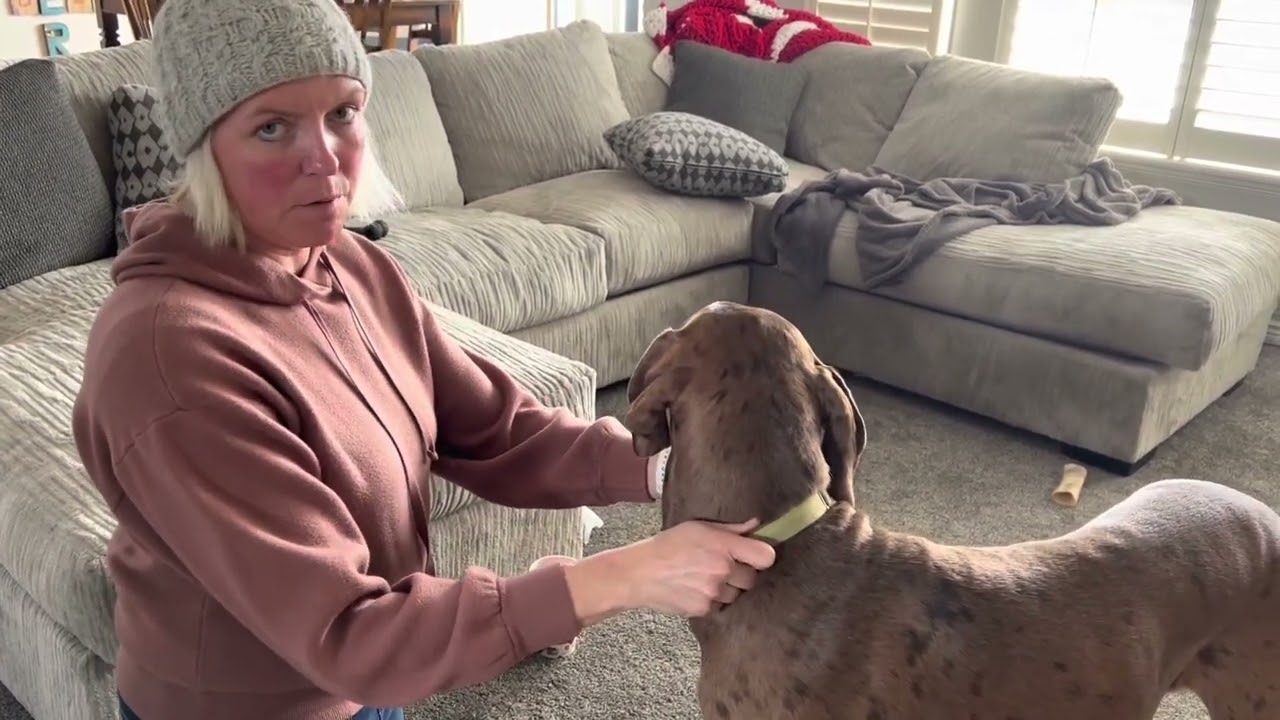 Conditioned Relaxation - mouthing dogs