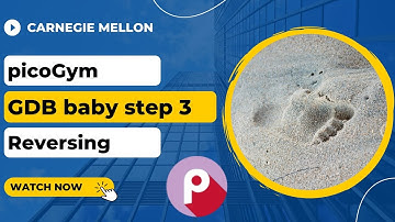 picoGym (picoCTF) Exercise: GDB baby step 3
