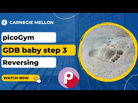 picoGym (picoCTF) Exercise: GDB baby step 3