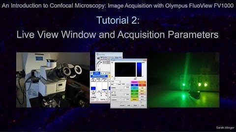Tutorial 2: Live View Window and Acquisition Parameters