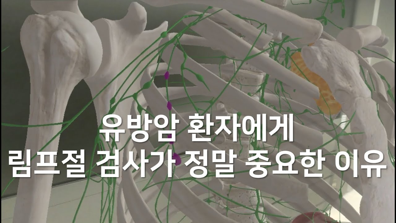 림프계통의 구조와 기능 (림프부종, 림프마사지)@carekimtv - YouTube