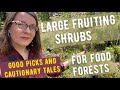 Choosing large fruitproducing shrubs for food forest design great choices cautionary tales