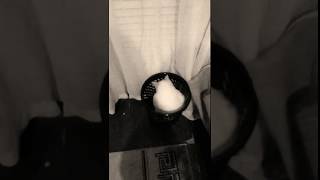 Дааа кошка решила переехать жить на мусорку😂😂😂😂😂😂 Дааа кошка решила переехать жить на мусорку😂😂😂😂😂😂