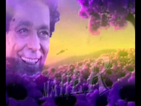 محمد منير قلبي ميشبهنيش MAHER