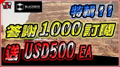 1000訂閱送MT4 EA l $500美金 l 無需編程 l ALGO外匯神器 (有字幕)【BlackboxAlgorithm #程式交易 #我要學MT4 #Dennis】