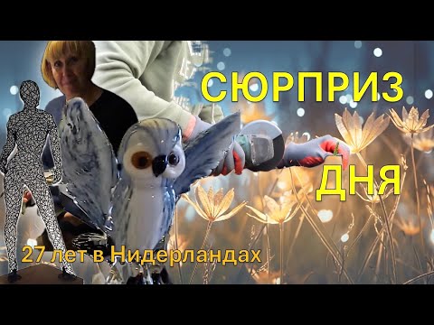 Жизнь семьи в Нидерландах🇳🇱 Семейный день в Голландии 🏠 Будни голландской семьи