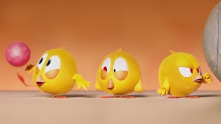 : O Jogo das Tigelas | Onde est'a Chicky? | Pintinha amarelinho | Colec~ao desenhos animados Infantil HD