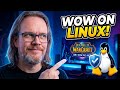 World of Warcraft MIDNIGHT: So geht's mit Linux (Linux Mint/CachyOS)