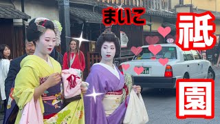 外国人観光客も見惚れる❤️美しい舞妓さん👘Maiko Gion Japan🇯🇵