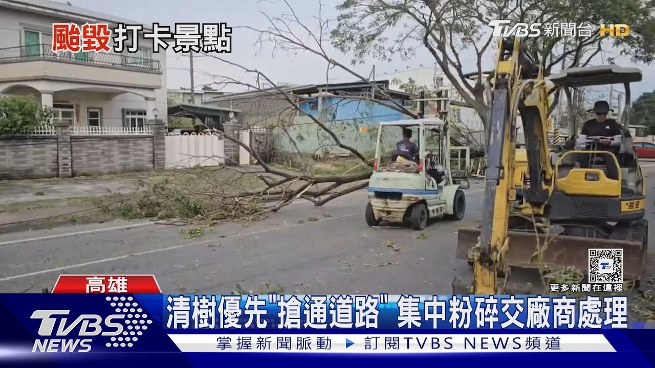 高雄路樹災情逾2500件! 大型機具清除 網紅「安全帽樹」也遭殃...｜TVBS新聞 @TVBSNEWS01