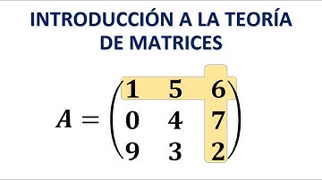 Introducción a la teoría de matrices