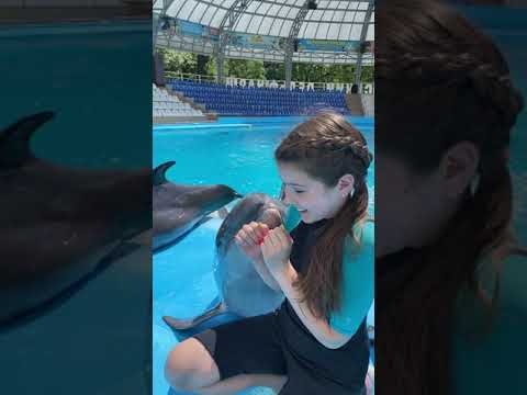 Поцелуй дельфина 🐬