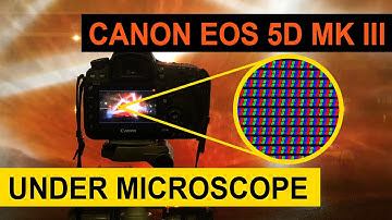 Canon EOS 5D Mark III LCD Screen RGB Pixels Magnified Under Microscope
