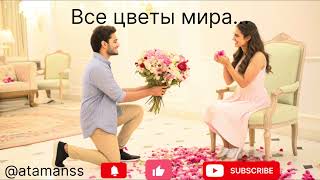 видео: Песня ,, Все цветы мира’’ картинка: Песня ,, Все цветы мира’’