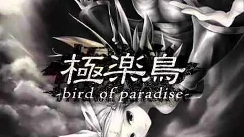 極楽鳥 Bird Of Paradise