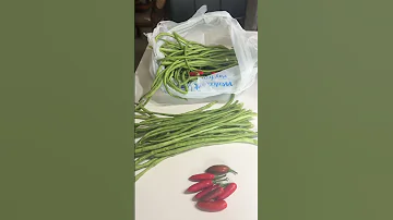 Fresh From My Garden String Beans 