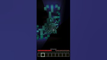 Mega Dropper 3 level 10 in Minecraft