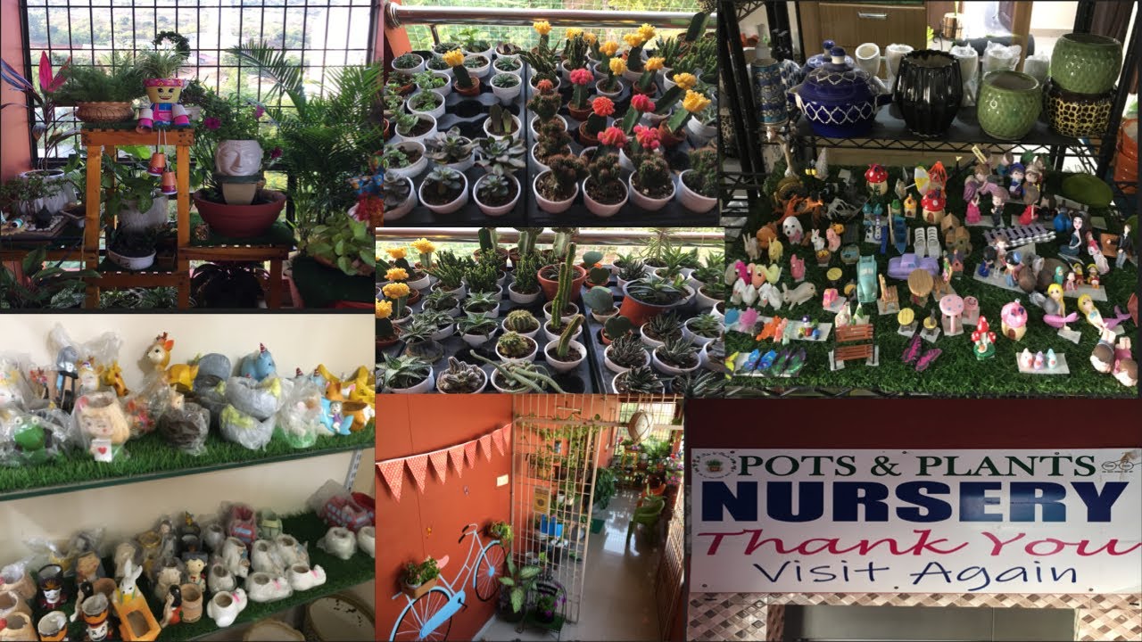 Pots & Plants Nursery//Ceramic Planters//Terrariums//Tray Garden